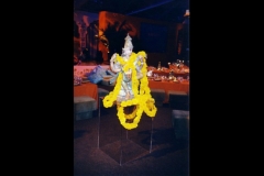 Fundraiser_412_3