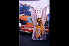 Fundraiser_412_4