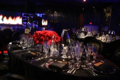GoldenGlobes2011_5