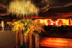 GoldenGlobes2013_7